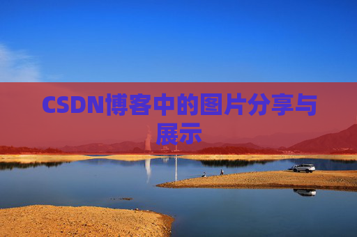 CSDN博客中的图片分享与展示